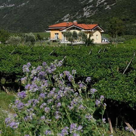 Appartamenti Al Vigneto Dro Extérieur photo