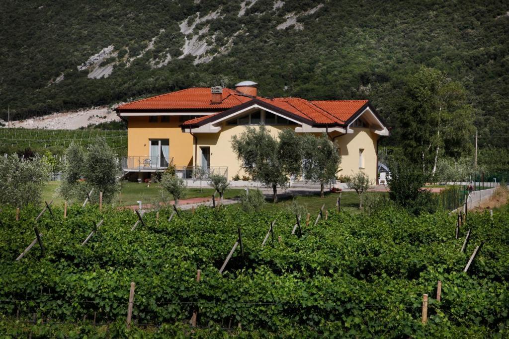 Appartamenti Al Vigneto Dro Extérieur photo