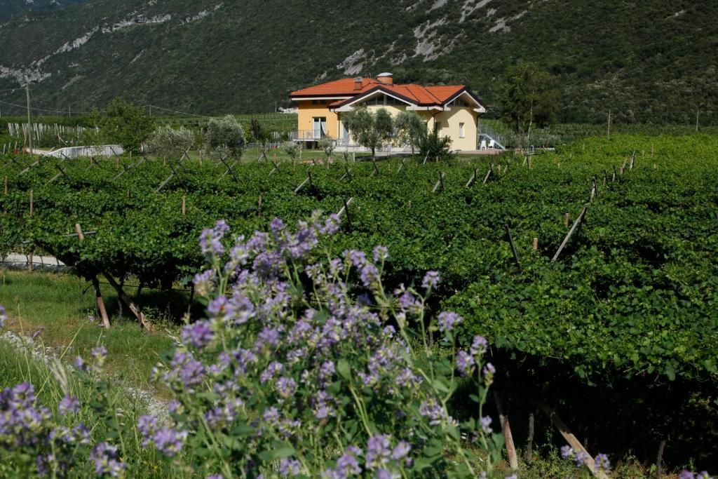 Appartamenti Al Vigneto Dro Extérieur photo
